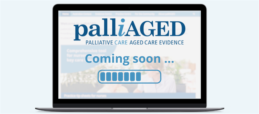 Getting prepared: Updating palliAGED for sector changes